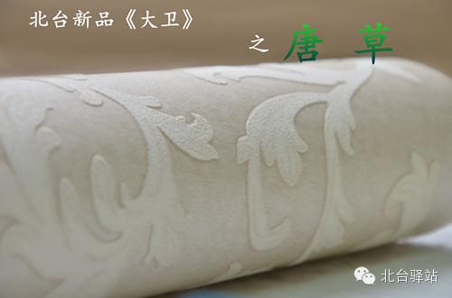 北臺(tái)新品《大衛(wèi)》即將推出 (圖2)