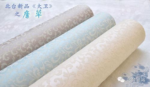 北臺(tái)新品《大衛(wèi)》即將推出 (圖4)