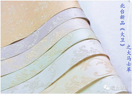 北臺(tái)新品《大衛(wèi)》即將推出 (圖5)
