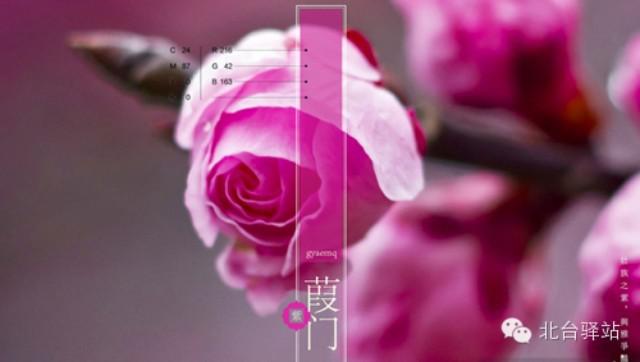 【北臺(tái)為您精心挑選】壯族生態(tài)色譜-最美的民族顏色！【1】(圖1)