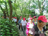 【北臺(tái)小二的留言】我又回來(lái)啦 (圖7)
