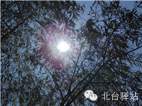 【北臺(tái)小二的留言】我又回來(lái)啦 (圖10)