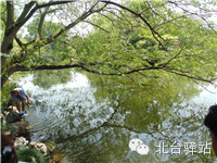【北臺(tái)小二的留言】我又回來(lái)啦 (圖13)