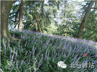 【北臺(tái)小二的留言】我又回來(lái)啦 (圖15)