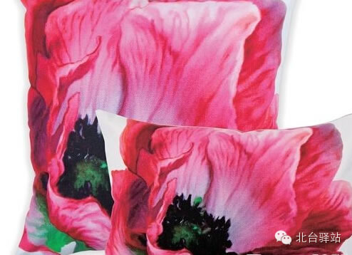 【北臺為您推薦】靠包——發(fā)區(qū)的鮮活動力(圖14)
