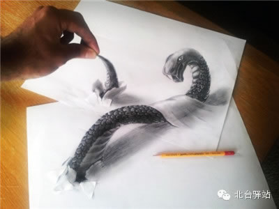 【北臺邀您欣賞】50個超逼真的3D繪畫作品（2）(圖19)