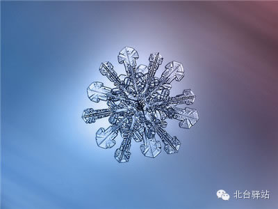 【北臺(tái)邀您欣賞】來自天國的花朵——雪花(圖1)