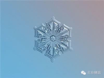 【北臺(tái)邀您欣賞】來自天國的花朵——雪花(圖4)