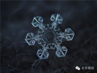 【北臺(tái)邀您欣賞】來自天國的花朵——雪花(圖9)