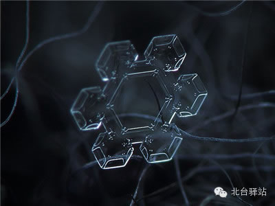 【北臺(tái)邀您欣賞】來自天國的花朵——雪花(圖7)
