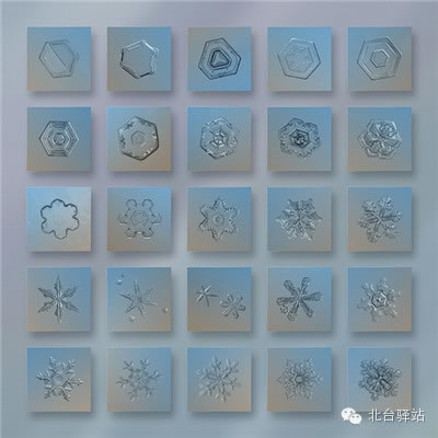 【北臺(tái)邀您欣賞】來自天國的花朵——雪花(圖13)