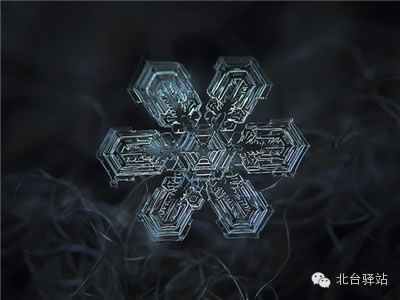 【北臺(tái)邀您欣賞】來自天國的花朵——雪花(圖10)