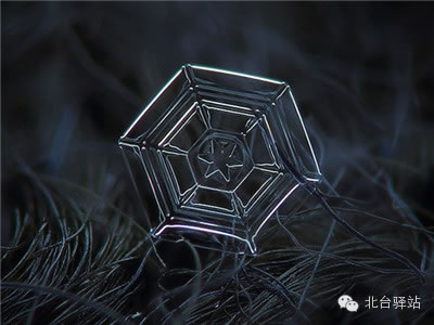 【北臺(tái)邀您欣賞】來自天國的花朵——雪花(圖11)