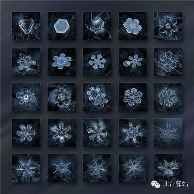 【北臺(tái)邀您欣賞】來自天國的花朵——雪花(圖14)