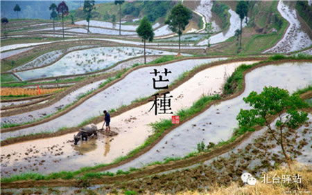 【北臺(tái)邀您欣賞】中國(guó)印象之節(jié)氣(圖10)
