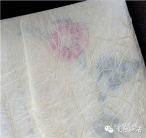 【北臺(tái)邀您共同鑒賞】一葉知霜冷，相依靜護(hù)花 (圖4)