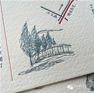 【北臺(tái)邀您共同鑒賞】一葉知霜冷，相依靜護(hù)花 (圖8)